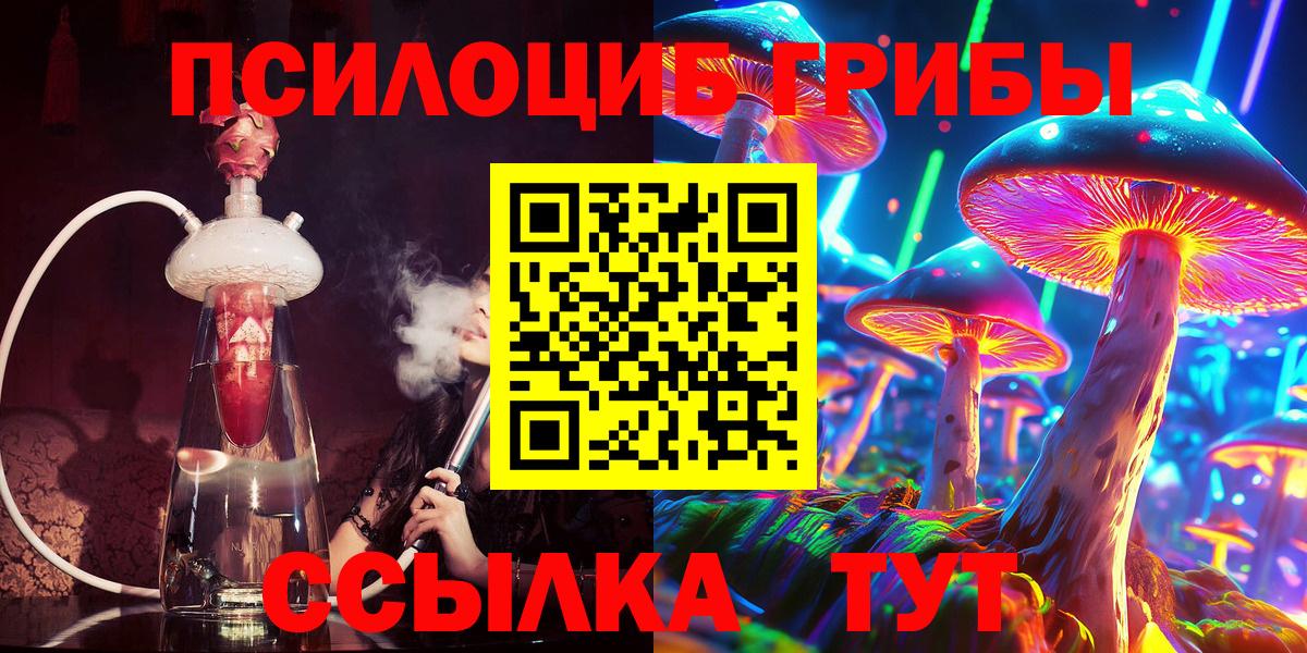 Галлюциногенные грибы Psilocybine cubensis Корсаков