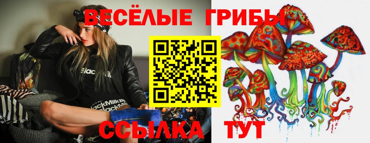 Корсаков  Псилоцибиновые грибы Psilocybine cubensis  Галлюциногенные грибы MAGIC MUSHROOMS  Вход с VPN 