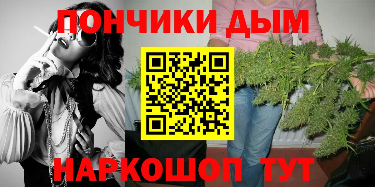 Бошки марихуана гибрид Корсаков